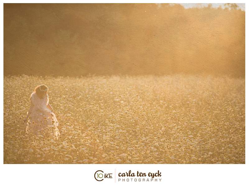 QUEEN_ANNES_LACE_FIELD_CARLA_TEN_EYCK-12