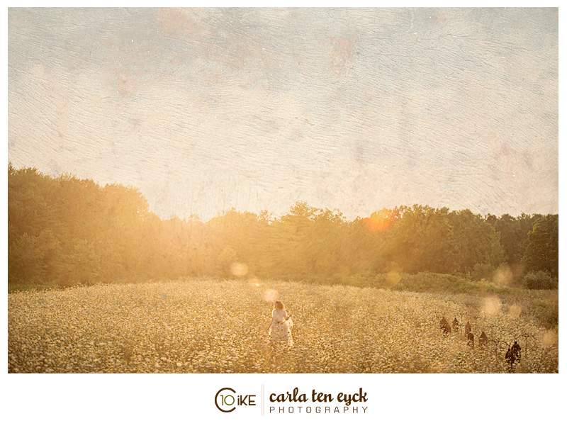 QUEEN_ANNES_LACE_FIELD_CARLA_TEN_EYCK-13