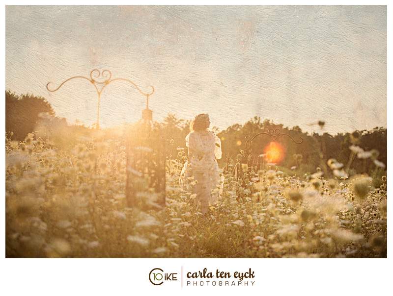 QUEEN_ANNES_LACE_FIELD_CARLA_TEN_EYCK-14
