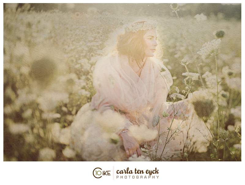 QUEEN_ANNES_LACE_FIELD_CARLA_TEN_EYCK-4