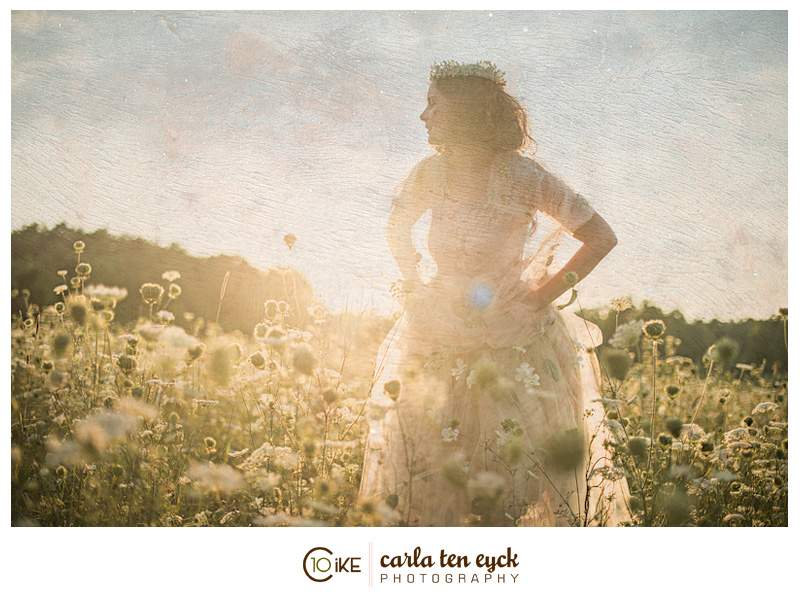 QUEEN_ANNES_LACE_FIELD_CARLA_TEN_EYCK-6