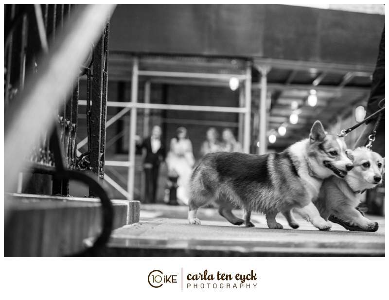 NYC_WEDDING_CARLA_TEN_EYCK-29