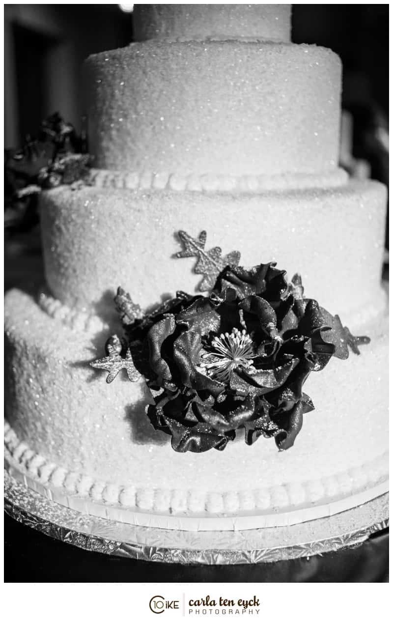 NYC_WEDDING_CARLA_TEN_EYCK-69