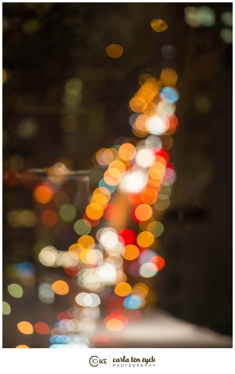 NYC_WEDDING_CARLA_TEN_EYCK-83