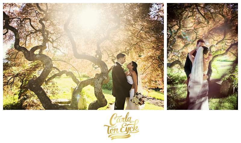 HARKNESS_WEDDING_CT_CARLA_TEN_EYCK__028