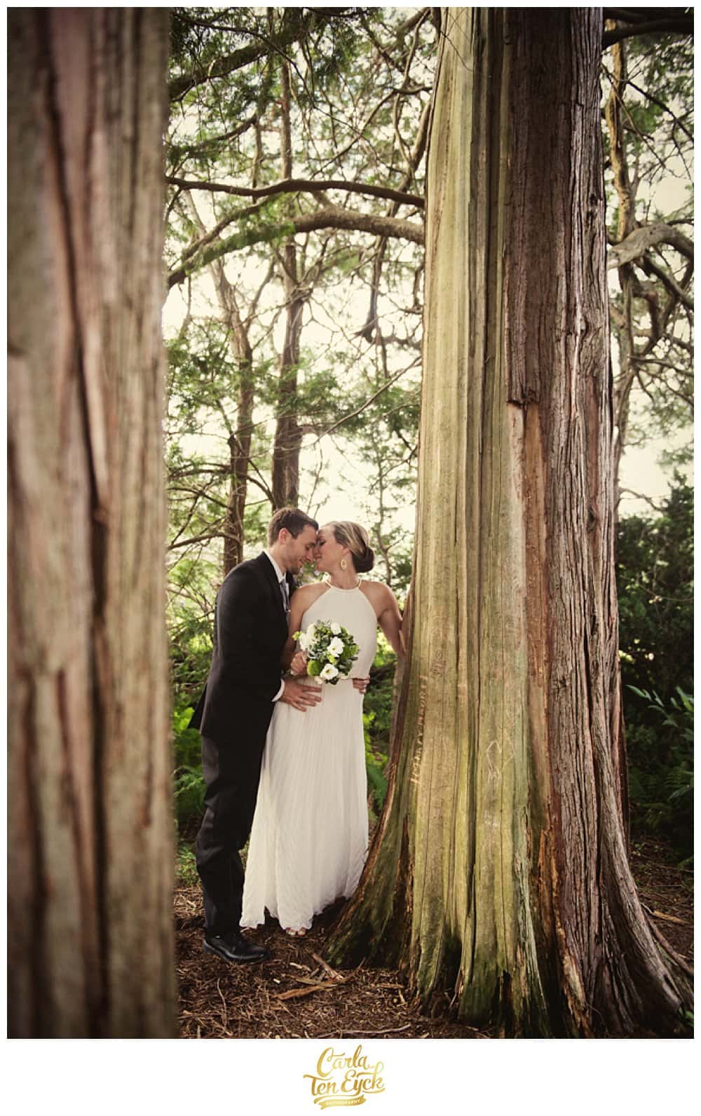 WOODLAND_WEDDING_CARLA_TEN_EYCK_-11