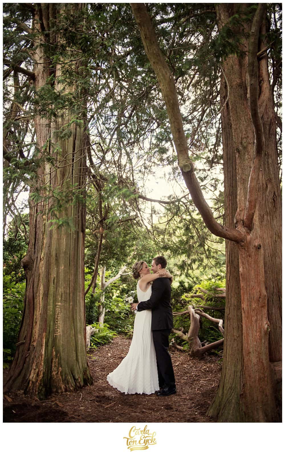 WOODLAND_WEDDING_CARLA_TEN_EYCK_-18
