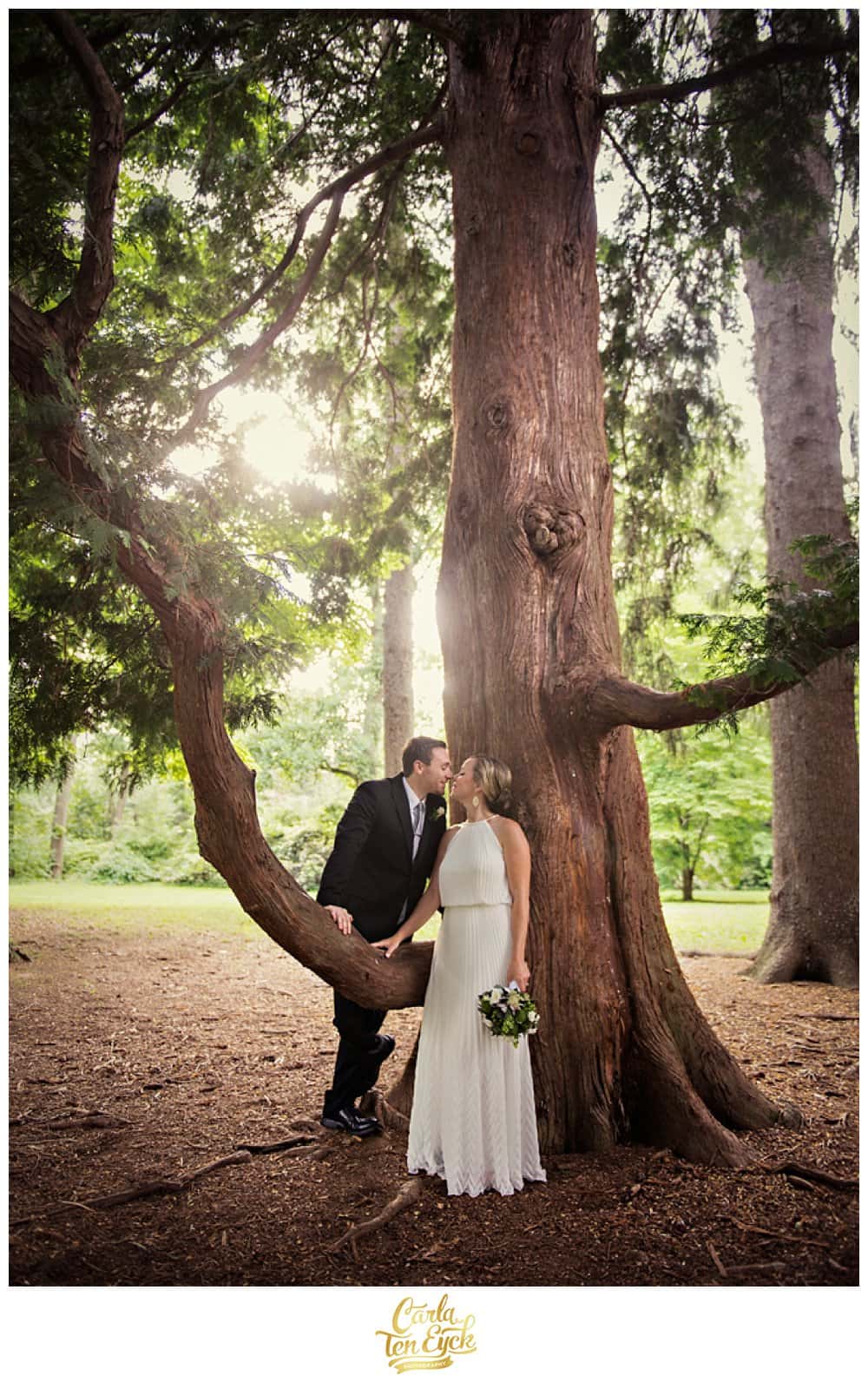 WOODLAND_WEDDING_CARLA_TEN_EYCK_-4