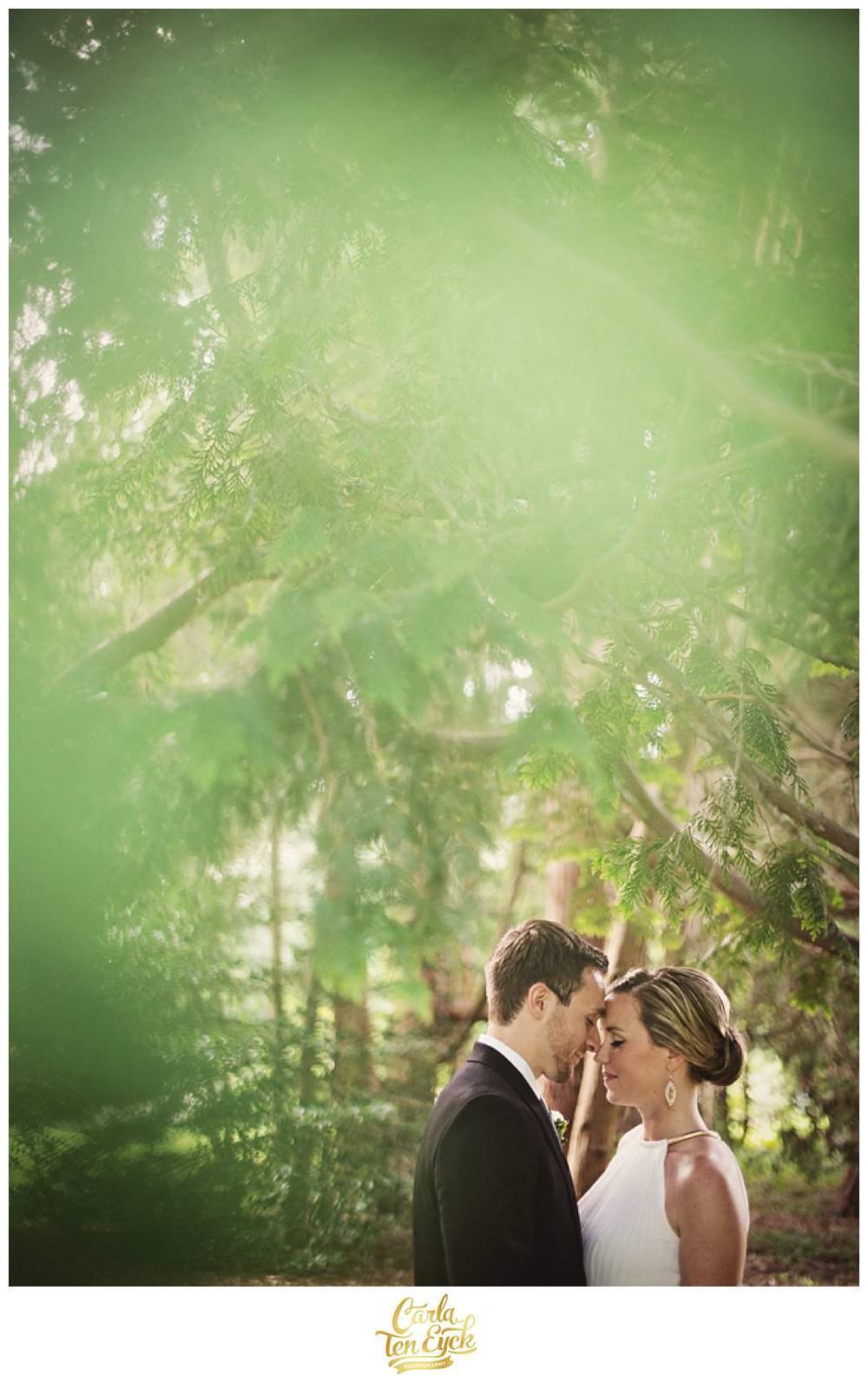 WOODLAND_WEDDING_CARLA_TEN_EYCK_-8
