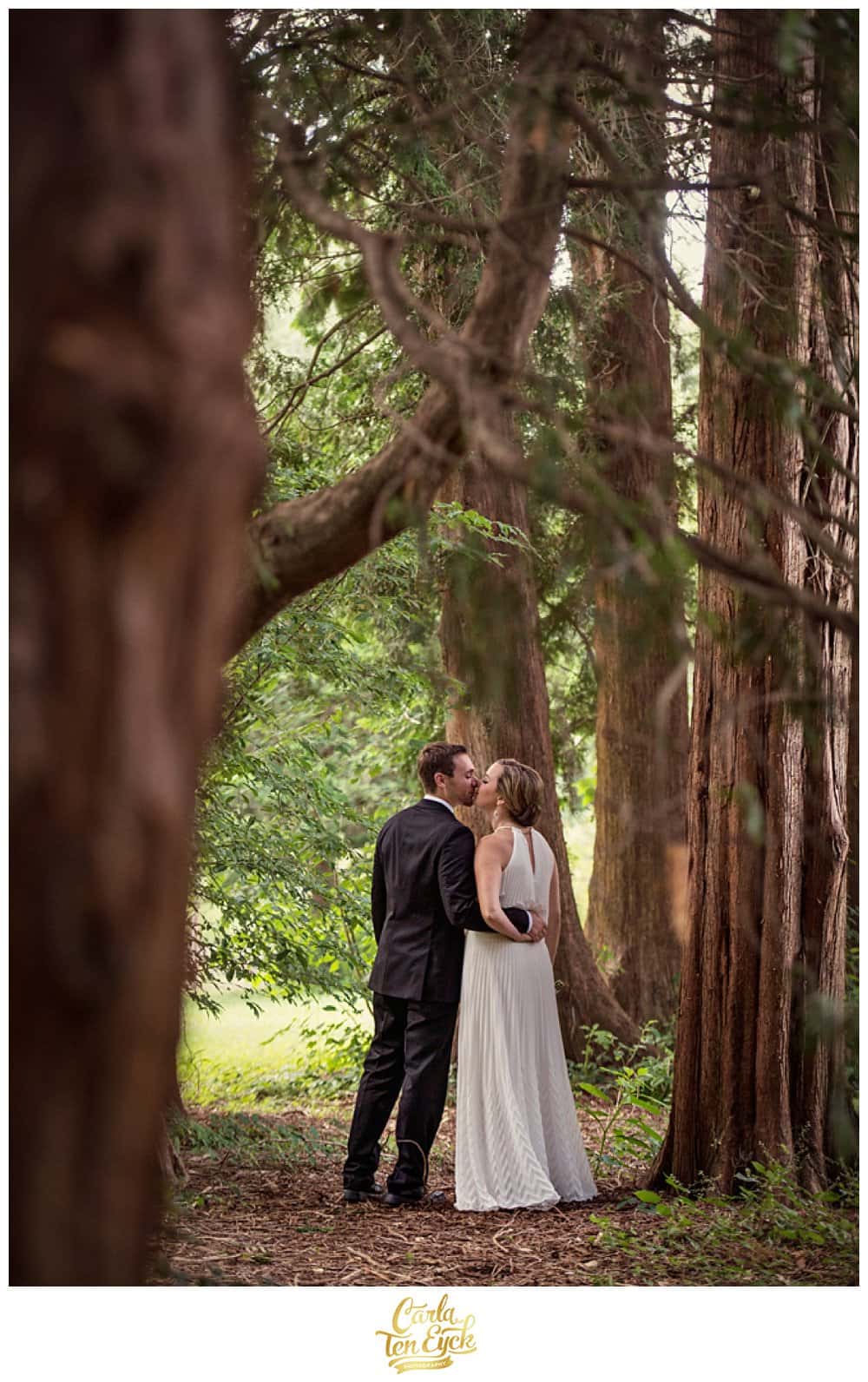 WOODLAND_WEDDING_CARLA_TEN_EYCK_-9