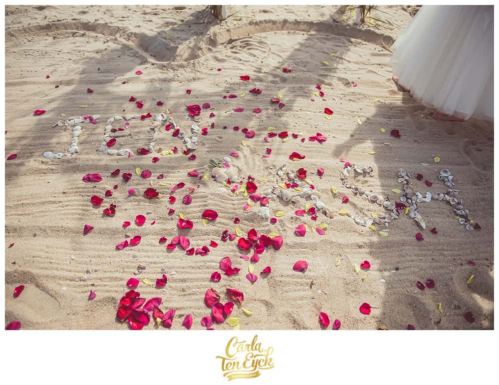 BEACH_ELOPEMENT_CARLA_TEN_EYCK_014