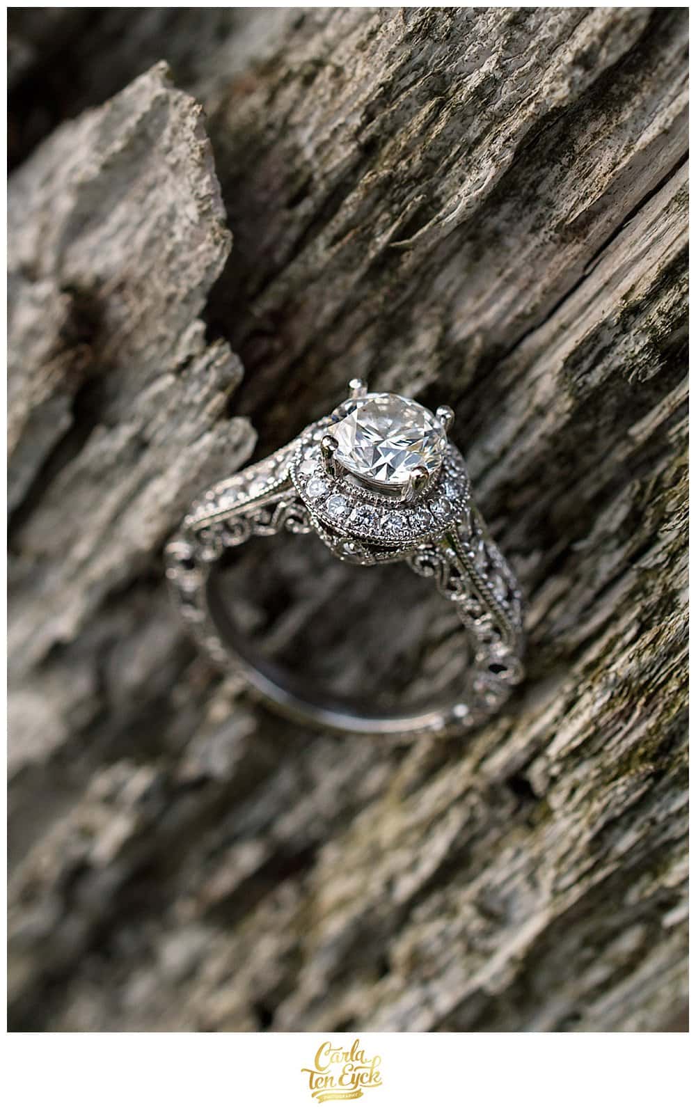 GOUVEIA_VINEYARD_AUTUMN_ENGAGEMENT_CARLA_TEN_EYCK_-50