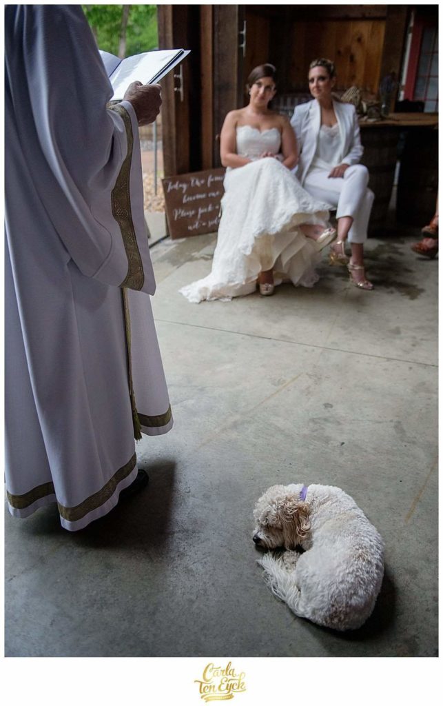 MARTHAS-VINEYARD-WEDDING-CARLA-TEN-EYCK-76