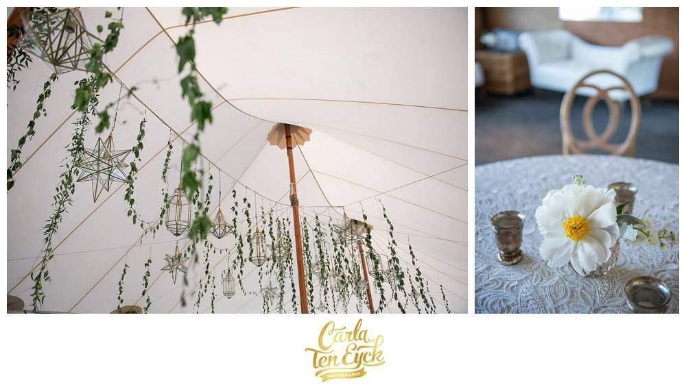TENTED-BACKYARD-WEDDING-CARLA-TEN-EYCK-3