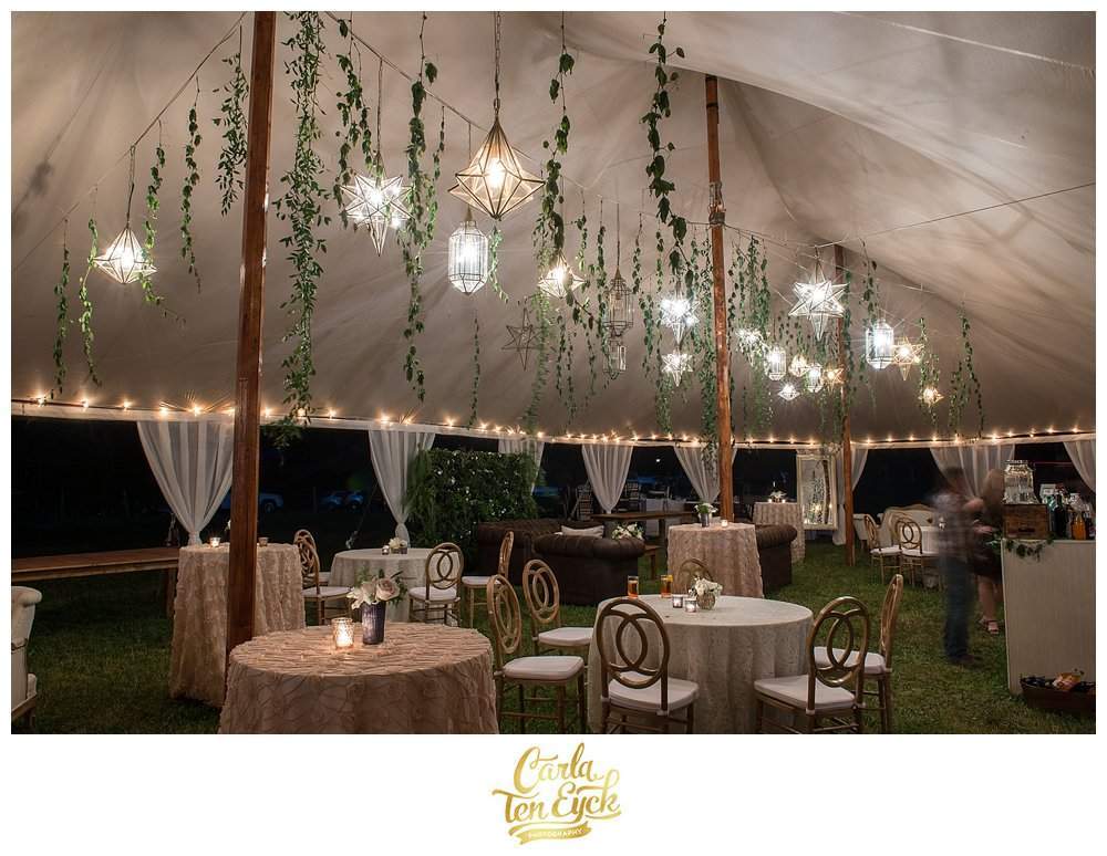 TENTED-BACKYARD-WEDDING-CARLA-TEN-EYCK-33