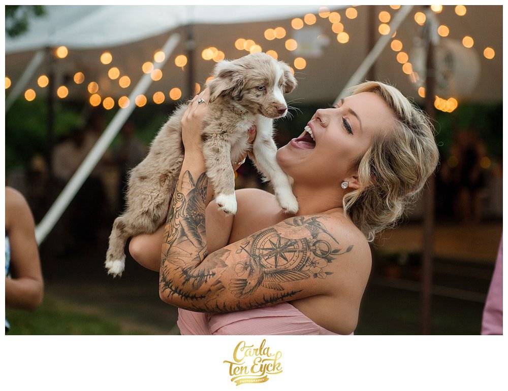 wedding puppy surprise wedding puppy surprise