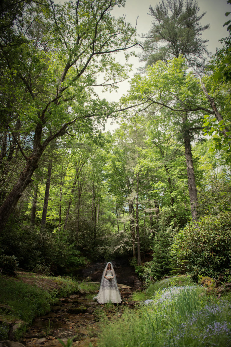 Bride stands in a creek at Lonesome Valley in Cashiers NC