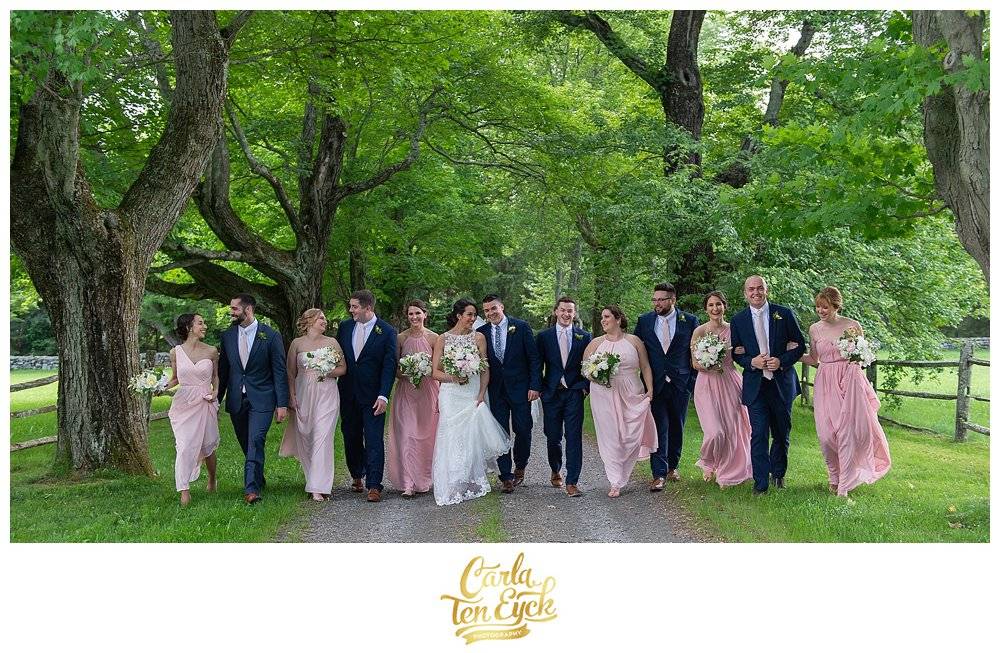 Wedding party in pink bridesmaids dresses walking at Tyrone Farm wedding in Pomfret CT