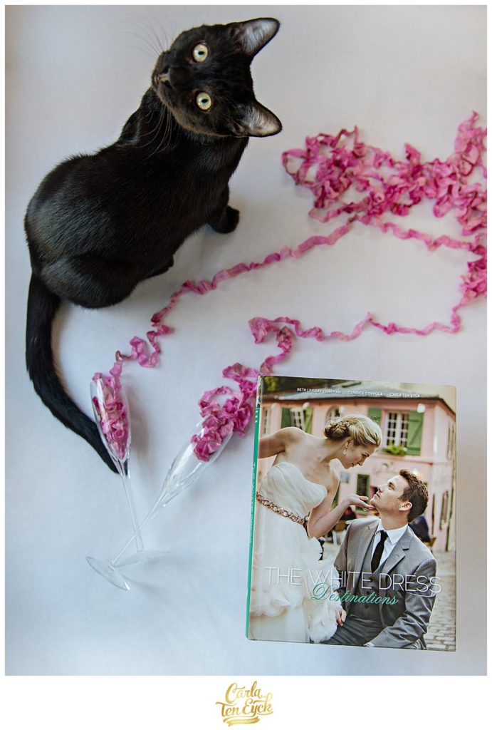 The White Dress Destinations book with champagne flutes and a black cat
