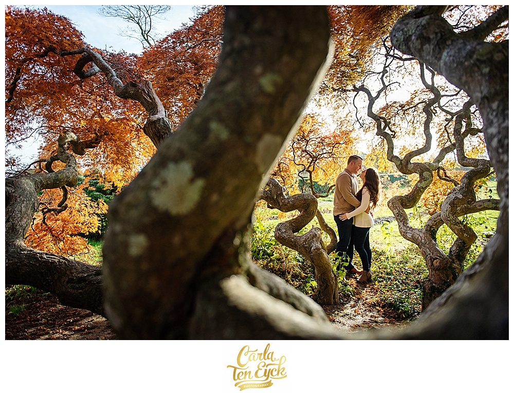 Couple embraces by Japanese maple Tree at Harkness Park in Waterford CT