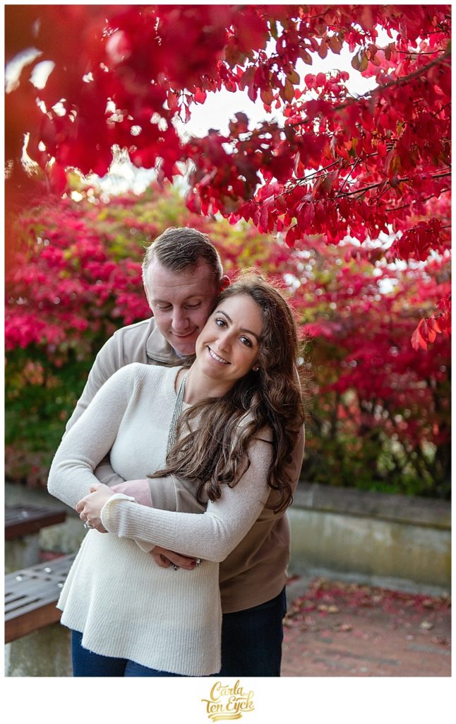 Couple cuddles near red bushes in the fall at Harkness Memorial Park in Waterford CT