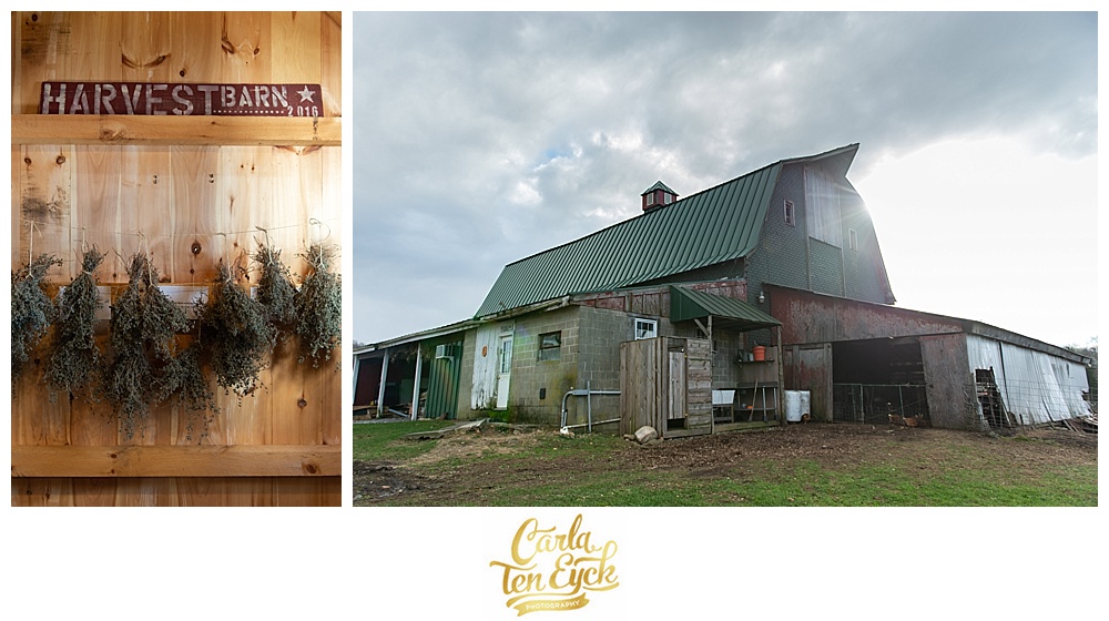 Cold Spring Farm in Colchester CT