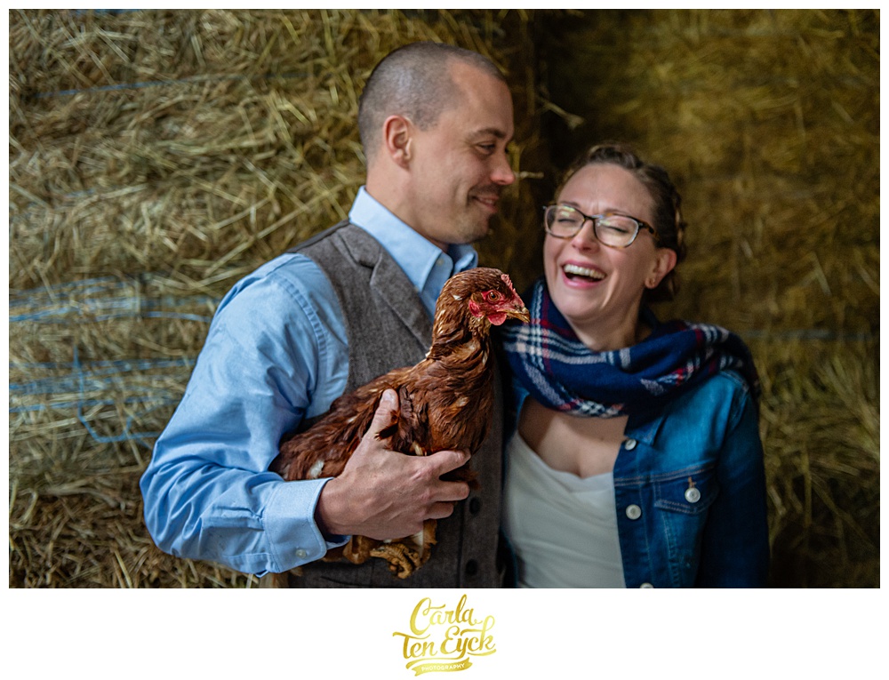Bride and groom hold a chicken on their wedding day at Cold Spring Farm in Colchester CT