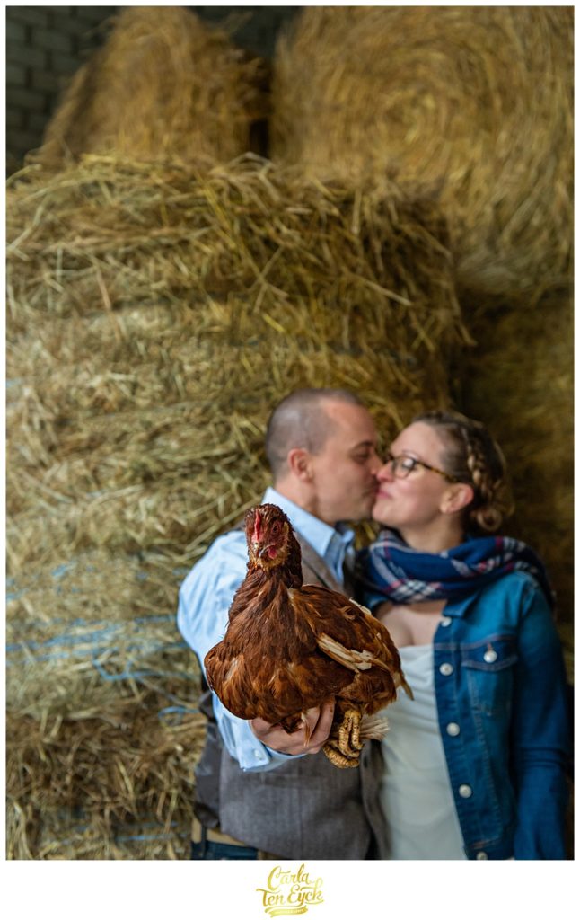 Bride and groom with a chicken in a hay barn on their wedding at Cold Spring Farm in Colchester CT