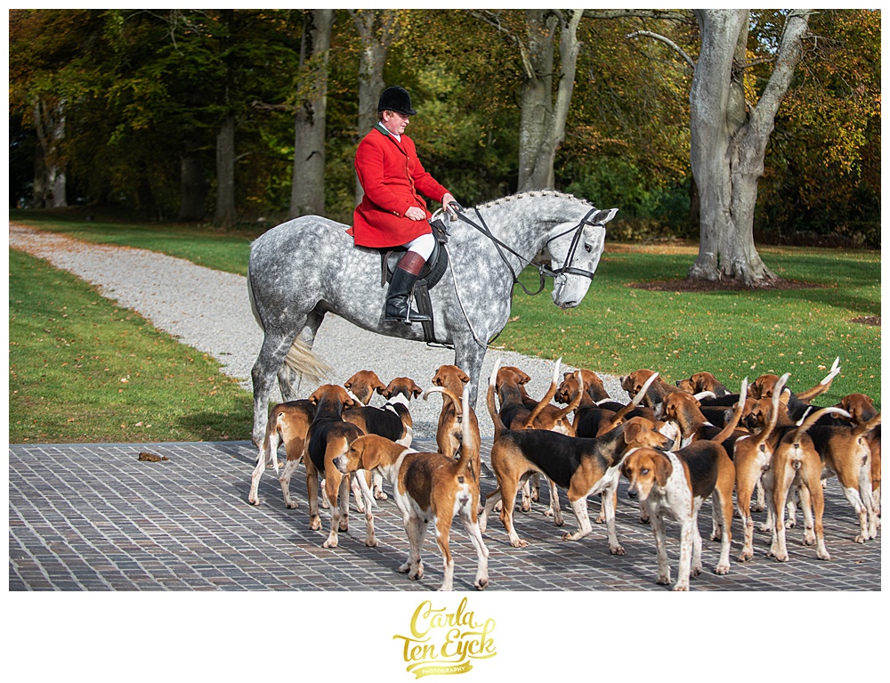 Horses and hounds on the grounds of Adare Manor County Limerick Ireland