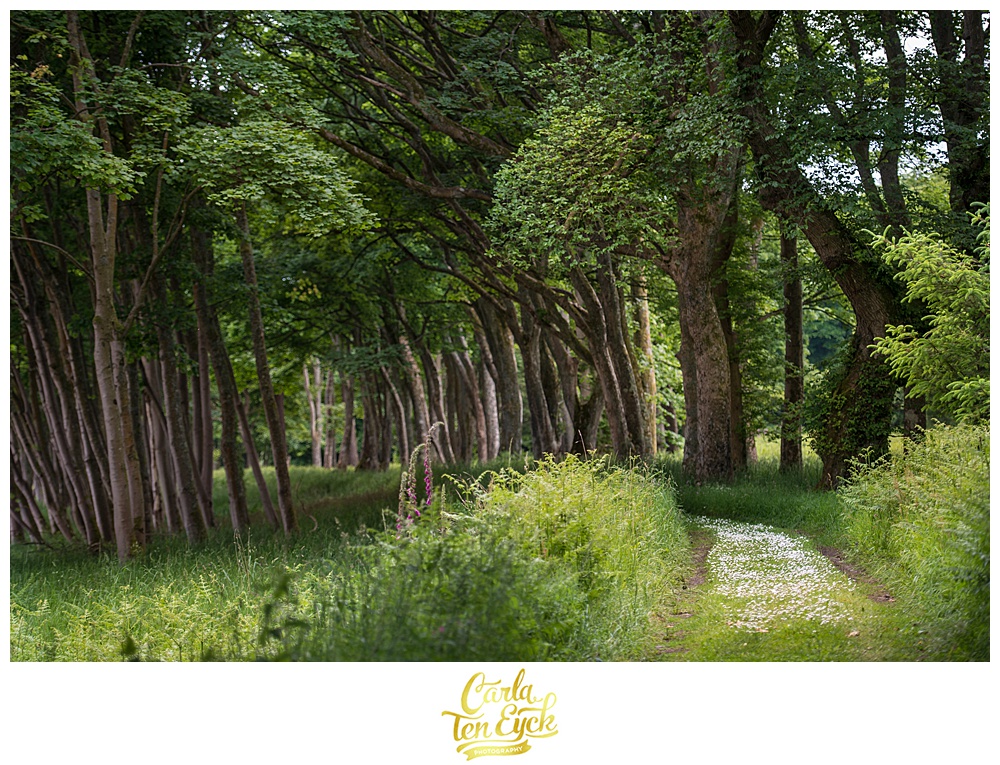 Winding lush paths on the grounds of Mount Stuart Castle on the Isle of Bute Scotland