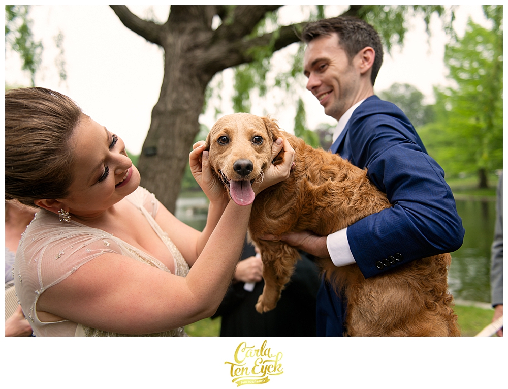 Happy puppy at his parents wedding at the Boston Public Gardens in Boston MA