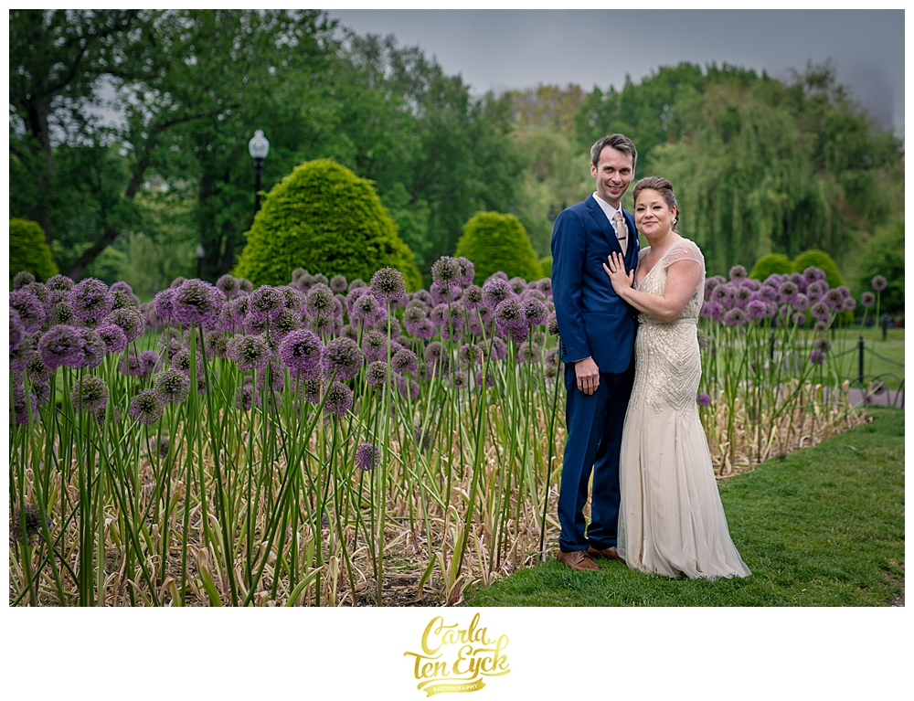 Bride and groom stand by purple allium in the Boston Public Gardens in Boston MA