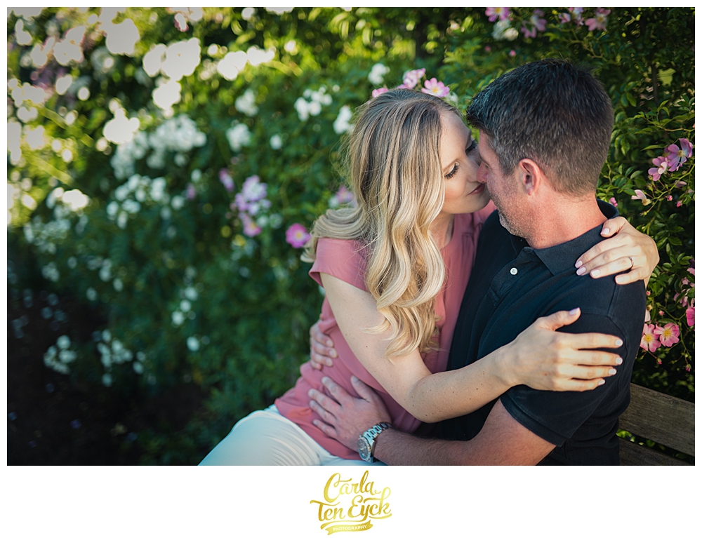 Couple cuddles on a bench in Hartford's Elizabeth Park Rose Garden