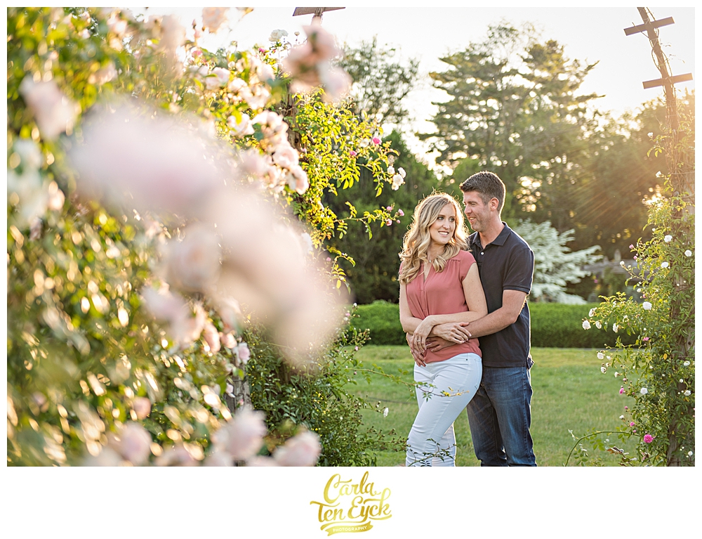 A couple cuddles in the rose garden in Hartford's historic Rose Garden in Elizabeth Park