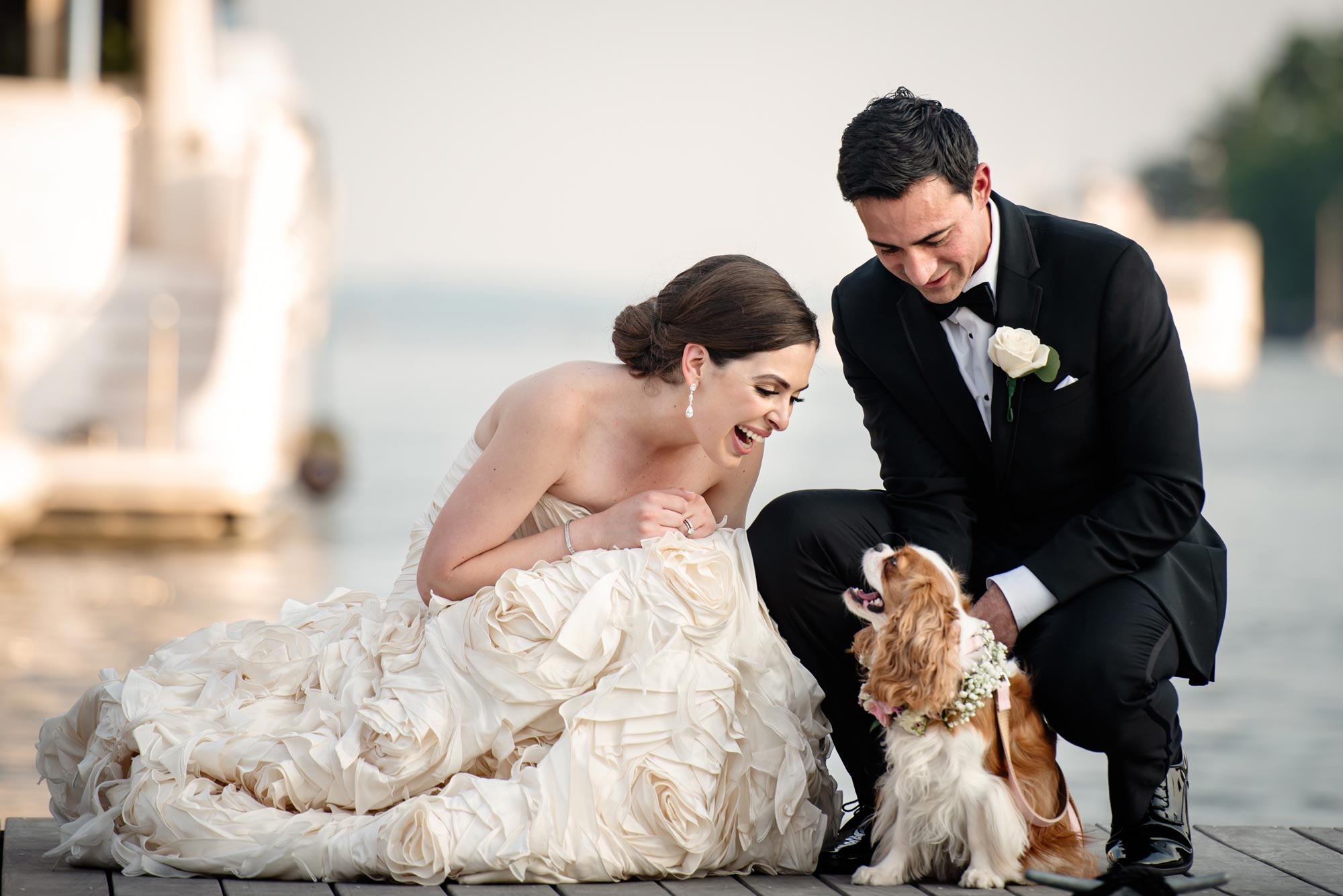 Bride and groom with their King Charles spaniel at their wedding at The Delamar in Greenwich CT