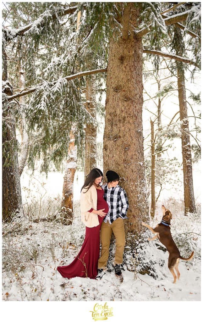 Winter maternity session with two moms and one dog at Case Mountain Manchester CT