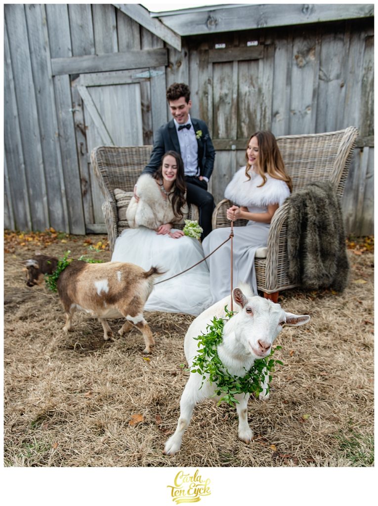 Inspiration shoot with goats on Mount Hope Farm in Bristol Rhode Island for Bliss Celebrations Magazine