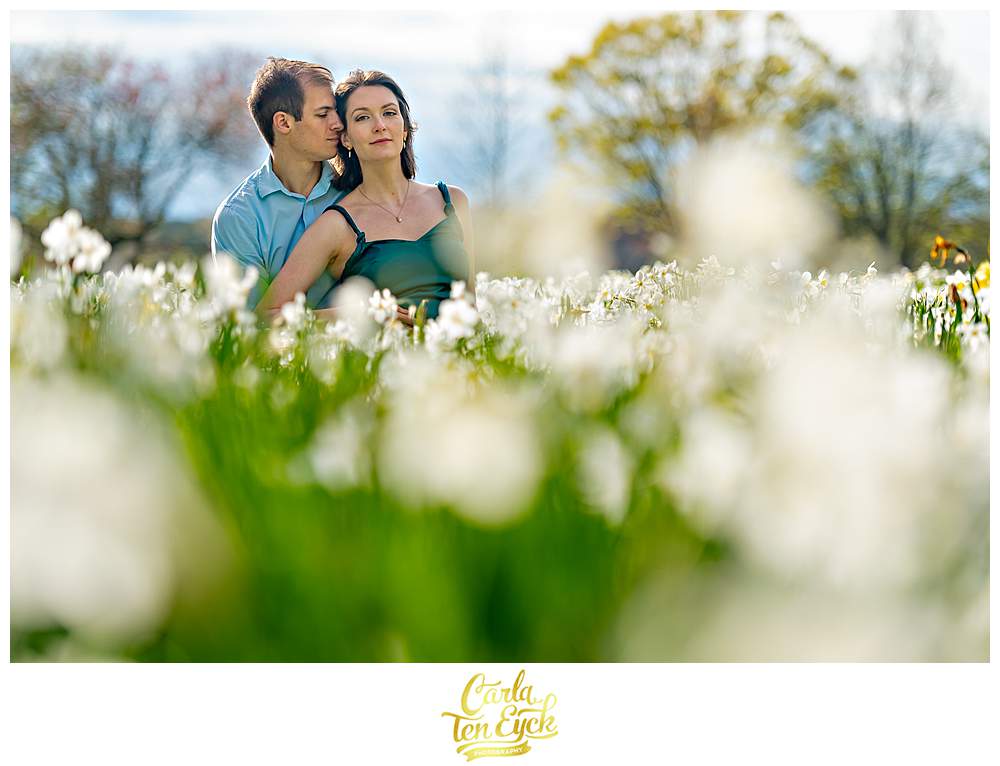 A couple in the daffodils during their spring Harkness Park engagement session in Waterford CT