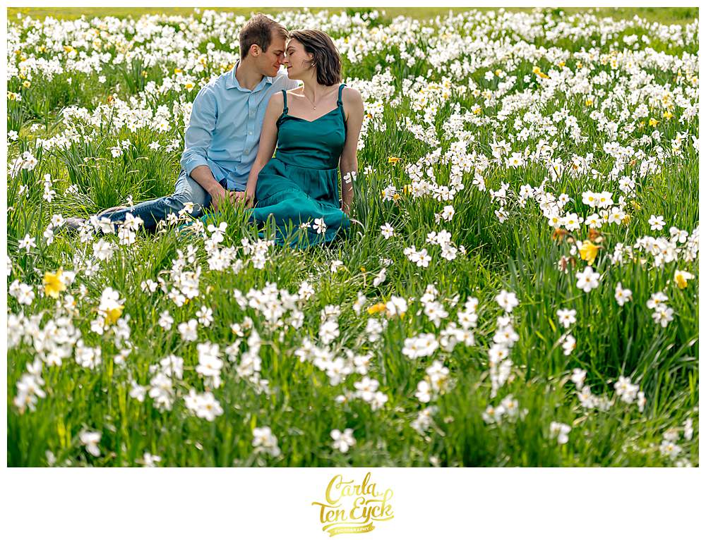 A couple in the daffodils during their spring Harkness Park engagement session in Waterford CT