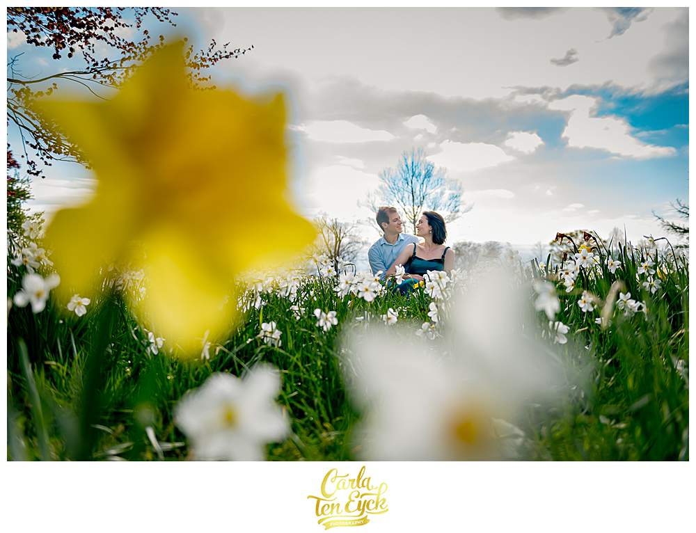 A couple in the daffodils during their spring Harkness Park engagement session in Waterford CT
