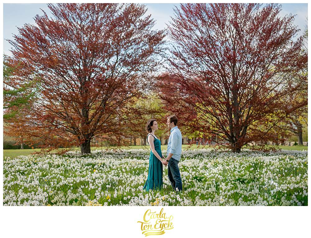 A couple in the daffodils during their spring Harkness Park engagement session in Waterford CT
