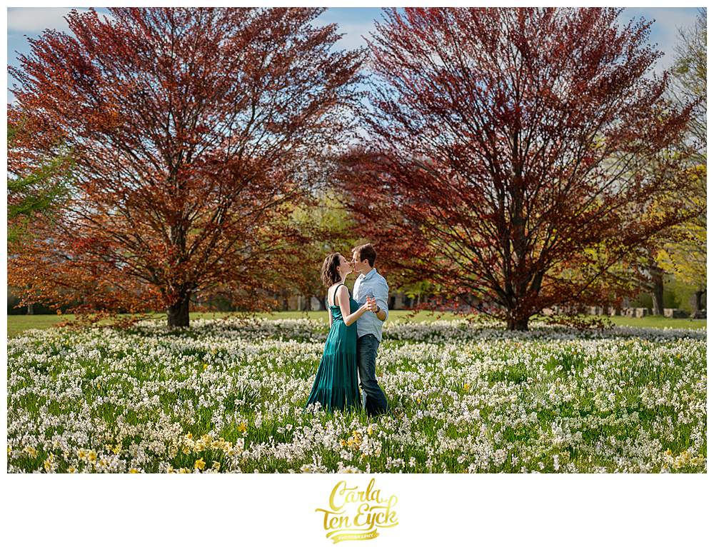 A couple dances in the daffodils in the spring during their Harkness Park engagement session in Waterford CT