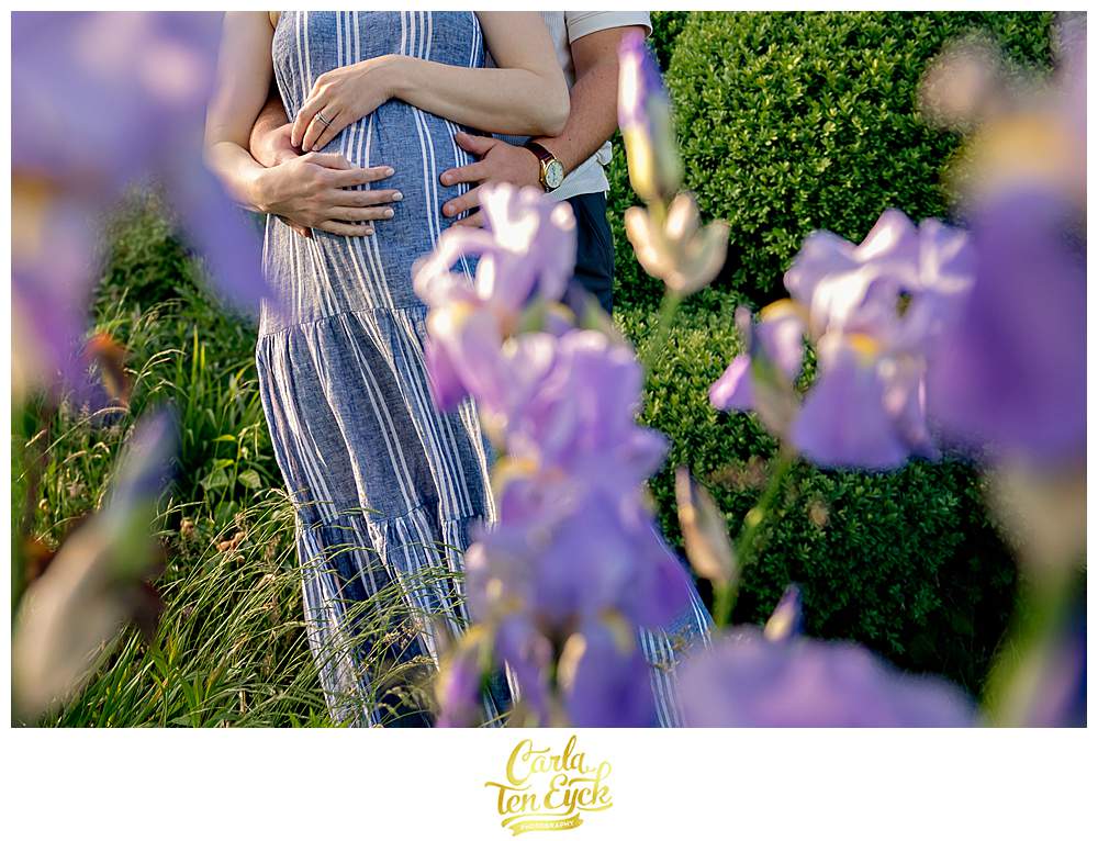 Parents to be pose in the iris during their Harkness maternity session at Harkness Park in Waterford CT