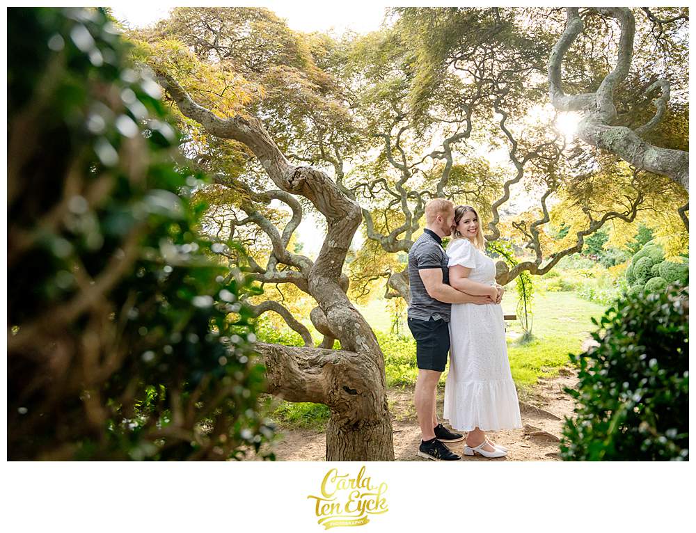 A couple snuggles under the historic Japanese Maple tree in Harkness for their engagement session in Waterford CT