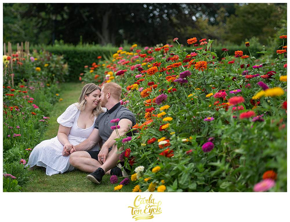 A full colorful border of zinnias is the perfect backdrop for a couple during their Harkness Park engagement session in Waterford CT